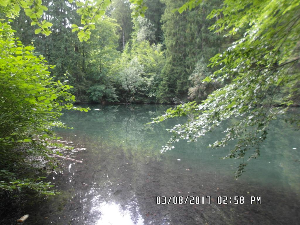 Appartement Sonnenhof Fussen Luaran gambar